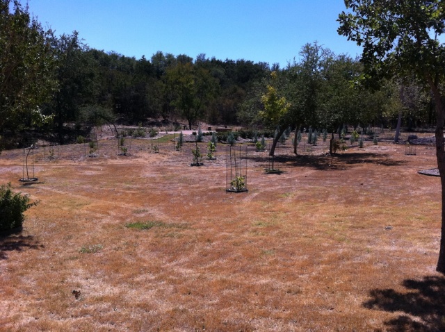 2011/09(Sep)/Texas Drought/640x480_2011-09-06-Firepit Drought.jpg